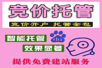 行业报告：专业SEM托管的成功实践与挑战